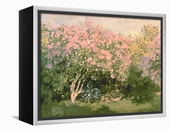 Lilac in the Sun, 1873-Claude Monet-Framed Premier Image Canvas