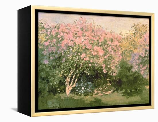 Lilac in the Sun, 1873-Claude Monet-Framed Premier Image Canvas