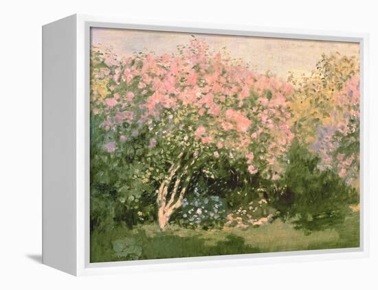 Lilac in the Sun, 1873-Claude Monet-Framed Premier Image Canvas