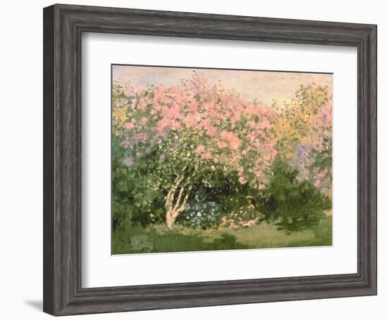 Lilac in the Sun, 1873-Claude Monet-Framed Giclee Print