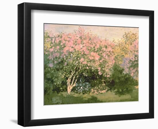 Lilac in the Sun, 1873-Claude Monet-Framed Giclee Print