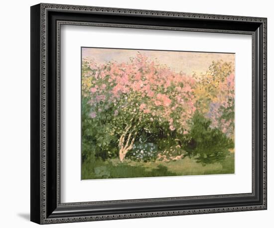 Lilac in the Sun, 1873-Claude Monet-Framed Giclee Print