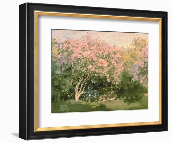 Lilac in the Sun, 1873-Claude Monet-Framed Giclee Print