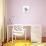 Lilac Lily-Albert Koetsier-Premium Giclee Print displayed on a wall