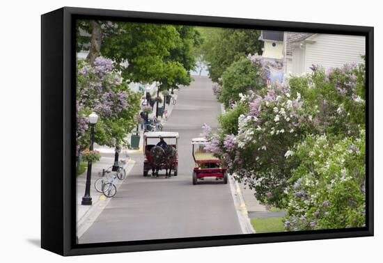 Lilac Lined Street with Horse Carriage, Mackinac Island, Michigan, USA-Cindy Miller Hopkins-Framed Premier Image Canvas