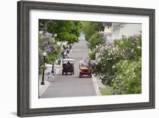 Lilac Lined Street with Horse Carriage, Mackinac Island, Michigan, USA-Cindy Miller Hopkins-Framed Photographic Print