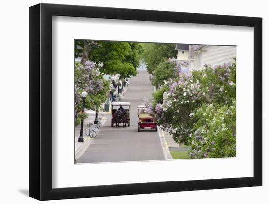 Lilac Lined Street with Horse Carriage, Mackinac Island, Michigan, USA-Cindy Miller Hopkins-Framed Photographic Print