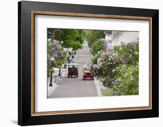 Lilac Lined Street with Horse Carriage, Mackinac Island, Michigan, USA-Cindy Miller Hopkins-Framed Photographic Print