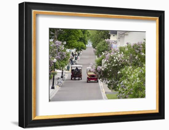 Lilac Lined Street with Horse Carriage, Mackinac Island, Michigan, USA-Cindy Miller Hopkins-Framed Photographic Print