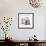 Lilac Magnolia-Albert Koetsier-Framed Premium Giclee Print displayed on a wall