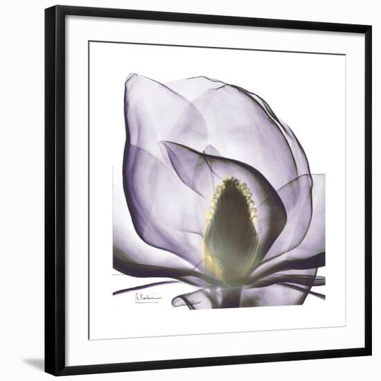 Lilac Magnolia-Albert Koetsier-Framed Giclee Print