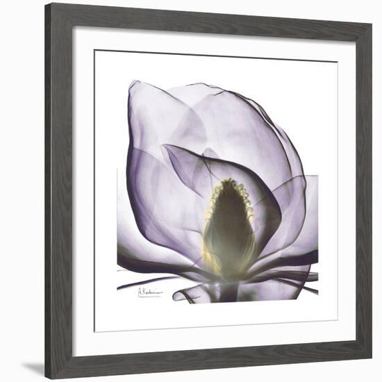 Lilac Magnolia-Albert Koetsier-Framed Giclee Print