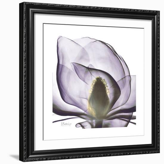 Lilac Magnolia-Albert Koetsier-Framed Giclee Print