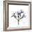 Lilac Oleander-Albert Koetsier-Framed Premium Giclee Print