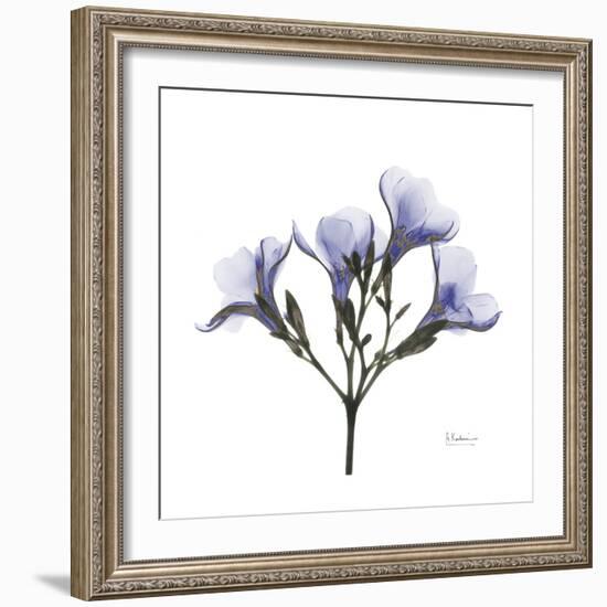 Lilac Oleander-Albert Koetsier-Framed Premium Giclee Print