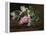 Lilac on a Ledge-Johan Laurentz Jensen-Framed Premier Image Canvas