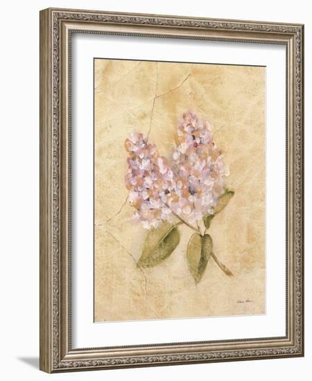 Lilac on Cracked Linen-Cheri Blum-Framed Art Print