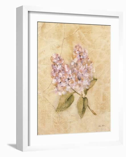 Lilac on Cracked Linen-Cheri Blum-Framed Art Print