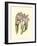 Lilac Orchid II-null-Framed Premium Giclee Print