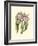 Lilac Orchid II-null-Framed Premium Giclee Print