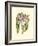Lilac Orchid II-null-Framed Premium Giclee Print