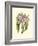 Lilac Orchid II-null-Framed Art Print