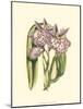 Lilac Orchid II-null-Mounted Art Print