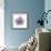 Lilac Orchid-Albert Koetsier-Framed Premium Giclee Print displayed on a wall