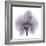 Lilac Orchid-Albert Koetsier-Framed Premium Giclee Print