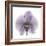 Lilac Orchid-Albert Koetsier-Framed Premium Giclee Print