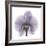 Lilac Orchid-Albert Koetsier-Framed Premium Giclee Print