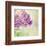Lilac Reflection-Judy Stalus-Framed Art Print