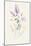 Lilac Season II Pastel-Danhui Nai-Mounted Art Print