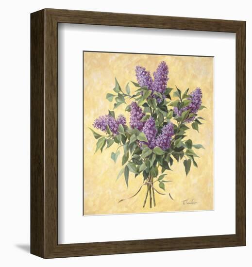 Lilac Season II-Todd Telander-Framed Art Print