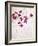 Lilac, Syringa Vulgaris, Blossoms, Pink, White-Axel Killian-Framed Photographic Print