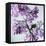 Lilac (Syringa Vulgaris)-Cristina-Framed Premier Image Canvas