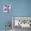 Lilac (Syringa Vulgaris)-Cristina-Premium Photographic Print displayed on a wall