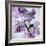 Lilac (Syringa Vulgaris)-Cristina-Framed Premium Photographic Print