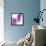 Lilac (Syringa Vulgaris)-Cristina-Framed Premier Image Canvas displayed on a wall