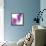 Lilac (Syringa Vulgaris)-Cristina-Framed Premier Image Canvas displayed on a wall