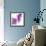 Lilac (Syringa Vulgaris)-Cristina-Framed Premium Photographic Print displayed on a wall