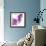 Lilac (Syringa Vulgaris)-Cristina-Framed Premium Photographic Print displayed on a wall