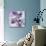 Lilac (Syringa Vulgaris)-Cristina-Photographic Print displayed on a wall