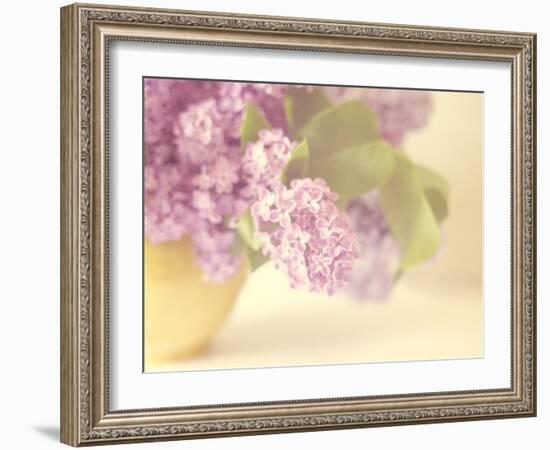 Lilac Time-Doug Chinnery-Framed Photographic Print