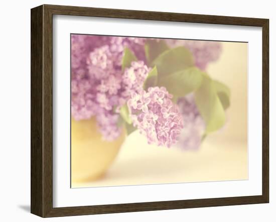 Lilac Time-Doug Chinnery-Framed Photographic Print