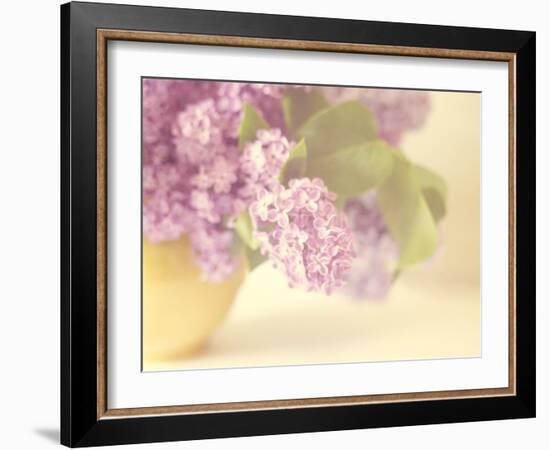 Lilac Time-Doug Chinnery-Framed Photographic Print