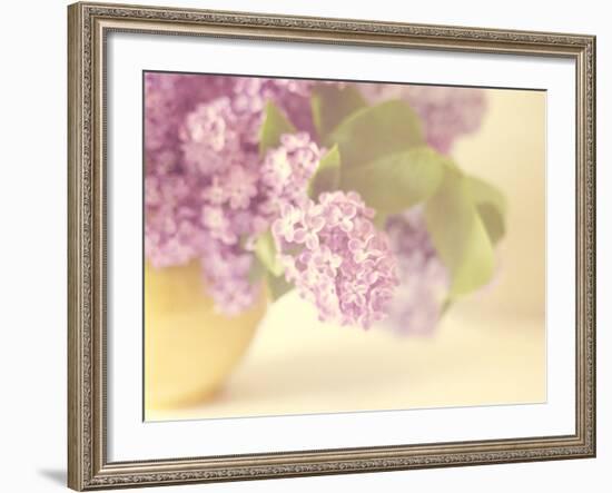 Lilac Time-Doug Chinnery-Framed Photographic Print