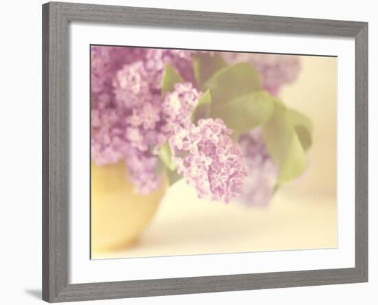 Lilac Time-Doug Chinnery-Framed Photographic Print