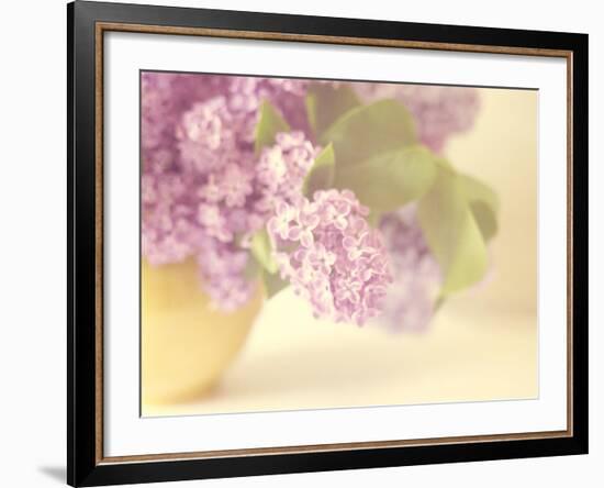 Lilac Time-Doug Chinnery-Framed Photographic Print