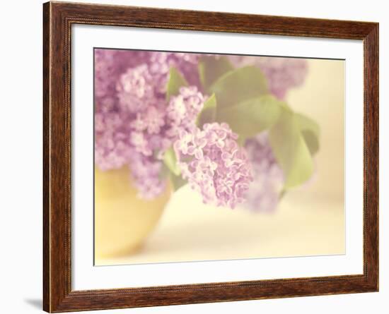 Lilac Time-Doug Chinnery-Framed Photographic Print